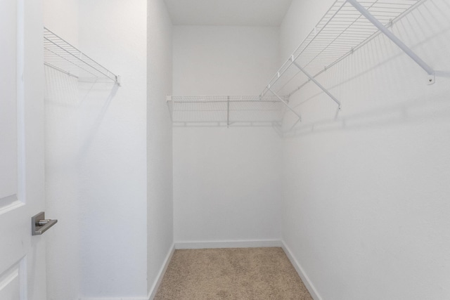 spacious closet with carpet flooring