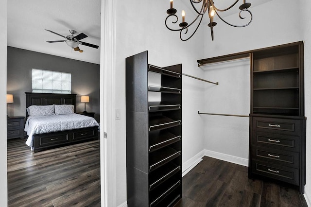 walk in closet featuring ceiling fan with notable chandelier and dark hardwood / wood-style flooring