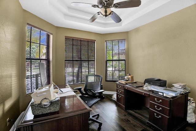 office area featuring a tray ceiling, ceiling fan, and dark hardwood / wood-style flooring