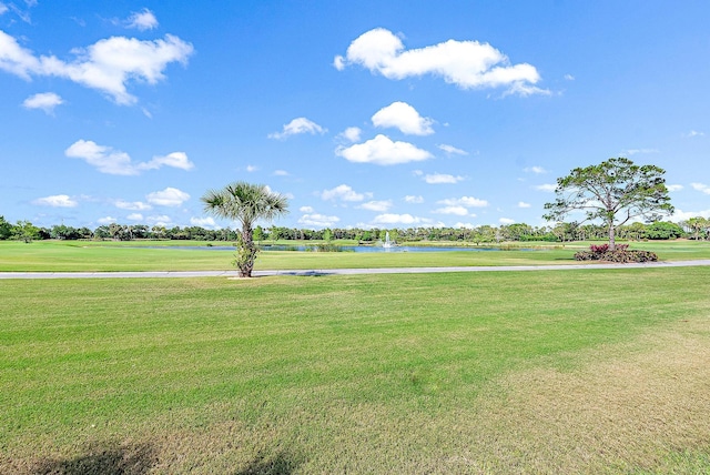 view of community with a yard