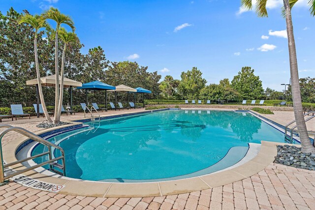 view of pool featuring a patio area