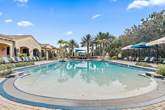 view of swimming pool featuring a patio