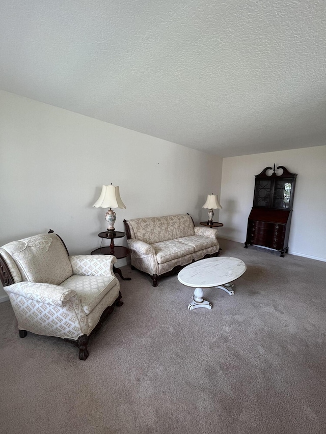 living room featuring carpet floors and a textured ceiling