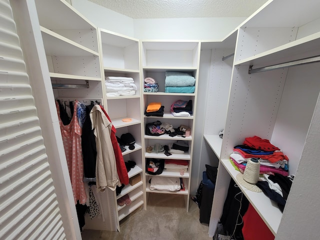 walk in closet featuring carpet flooring