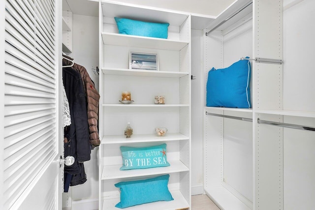 view of walk in closet