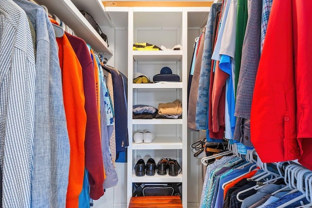 view of walk in closet