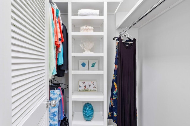 view of spacious closet