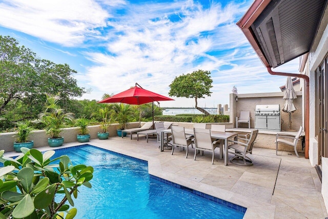 view of swimming pool featuring a patio area