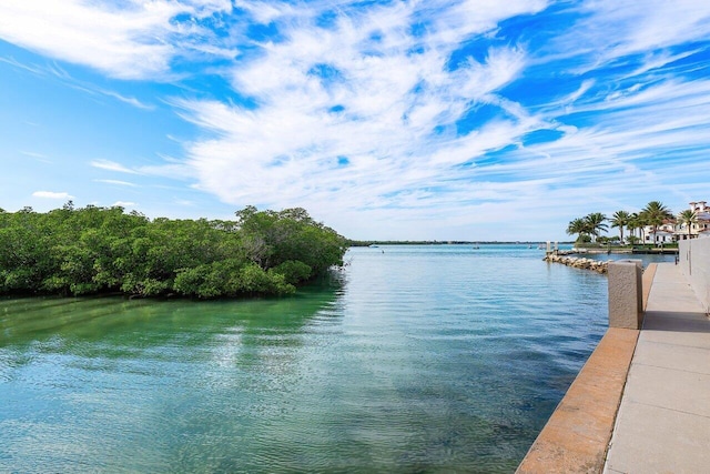 view of water view