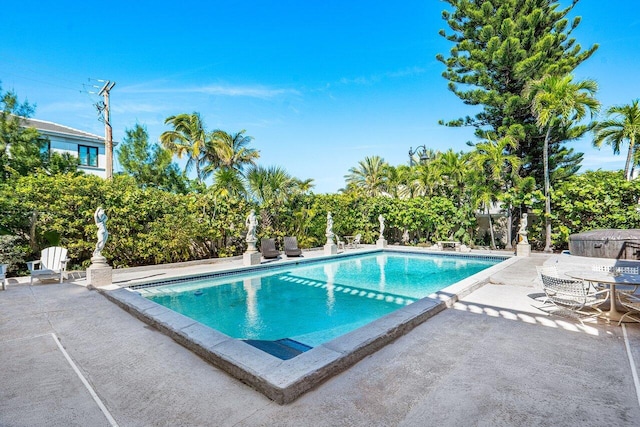 view of pool featuring a patio