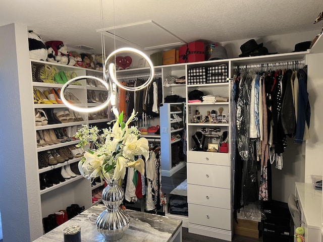 spacious closet featuring wood finished floors