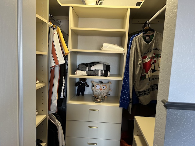 view of walk in closet