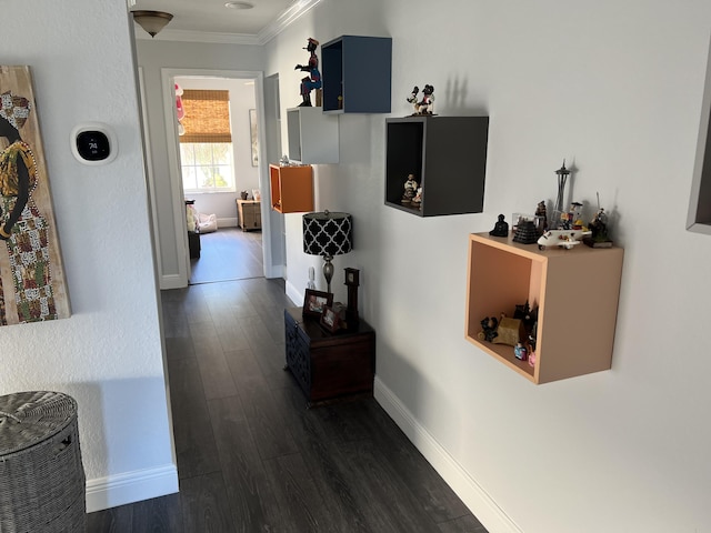 hallway featuring dark wood-type flooring, baseboards, and ornamental molding