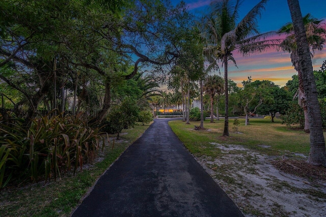 view of road