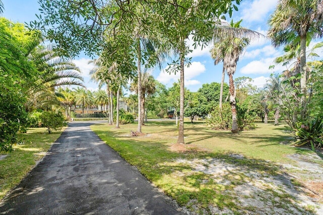 view of home's community featuring a lawn