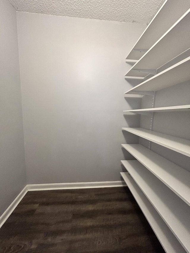 spacious closet featuring dark hardwood / wood-style flooring