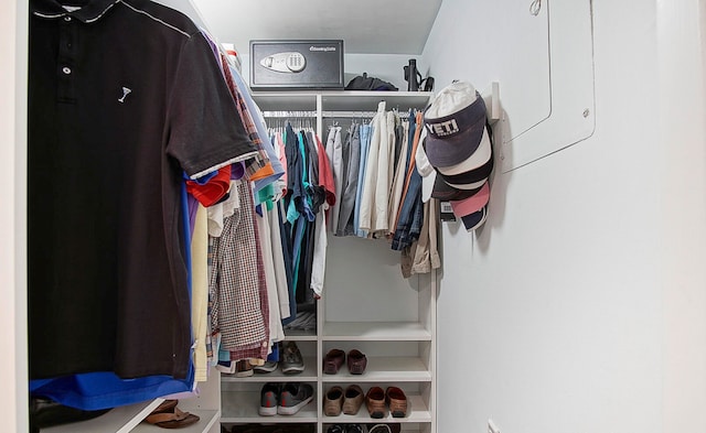 view of walk in closet