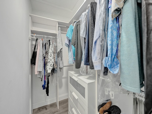 spacious closet with light hardwood / wood-style floors