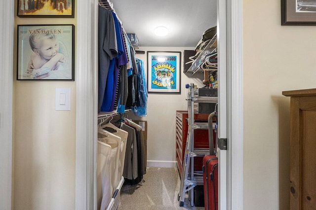 walk in closet with carpet floors