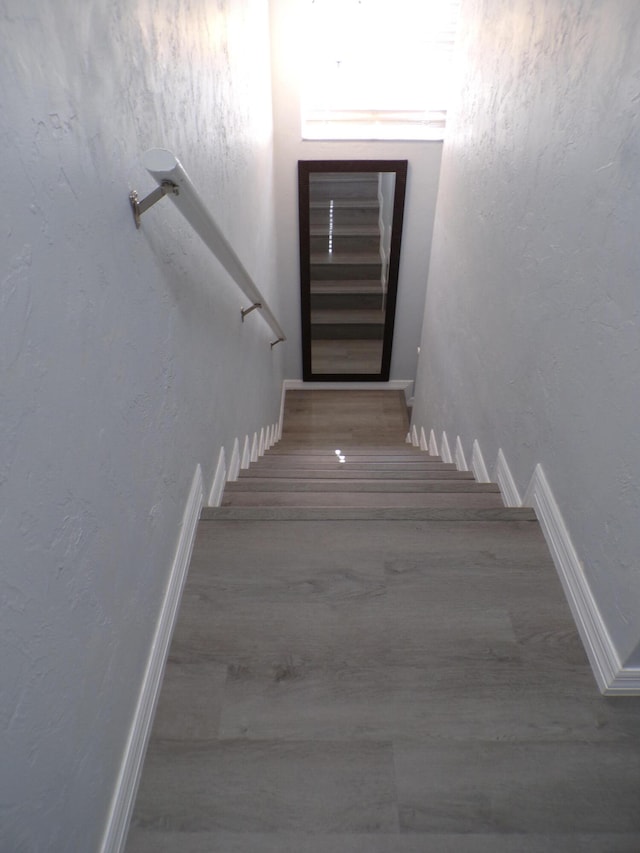 staircase with wood-type flooring