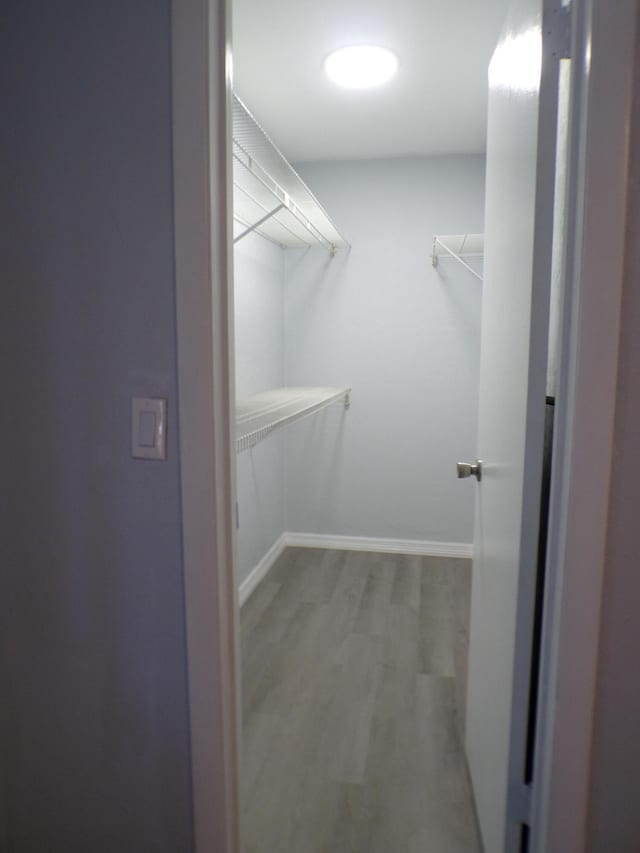 spacious closet with hardwood / wood-style floors