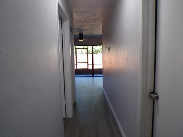 corridor featuring dark hardwood / wood-style floors