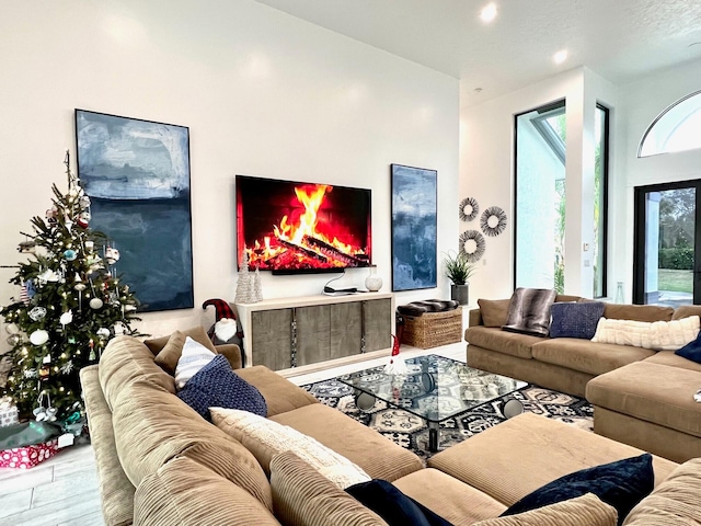 living room with hardwood / wood-style floors