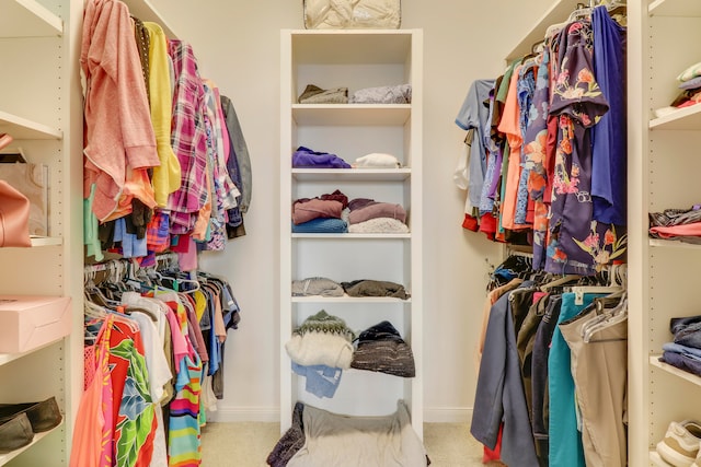 spacious closet featuring carpet floors