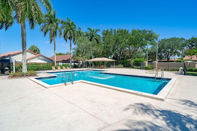 view of pool with a patio