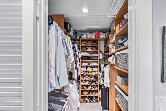 view of spacious closet