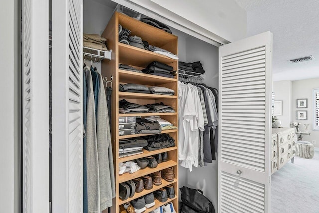 view of closet