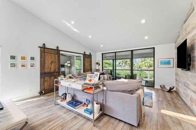 living room with high vaulted ceiling, a textured ceiling, light hardwood / wood-style floors, and plenty of natural light