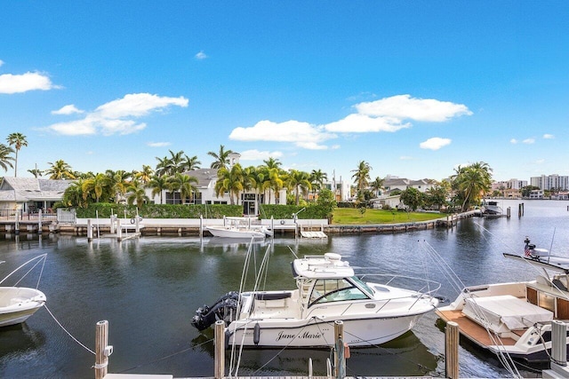 dock area with a water view