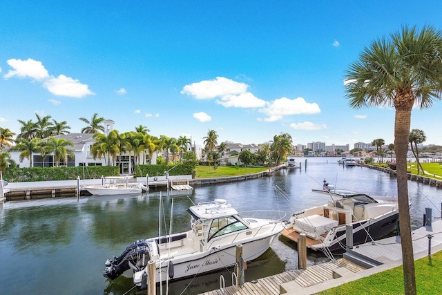 dock area with a water view