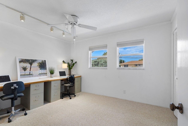 carpeted office space with ceiling fan, crown molding, and a textured ceiling