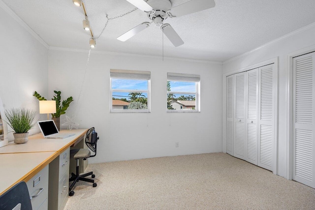 office featuring ceiling fan, rail lighting, ornamental molding, and a textured ceiling