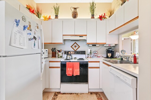 kitchen with light hardwood / wood-style floors, white cabinetry, white appliances, and sink