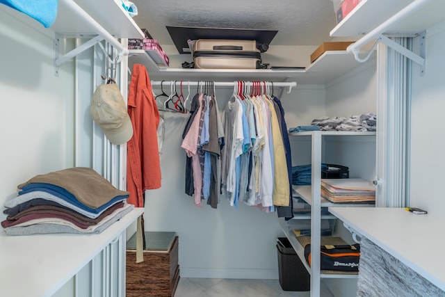 view of spacious closet