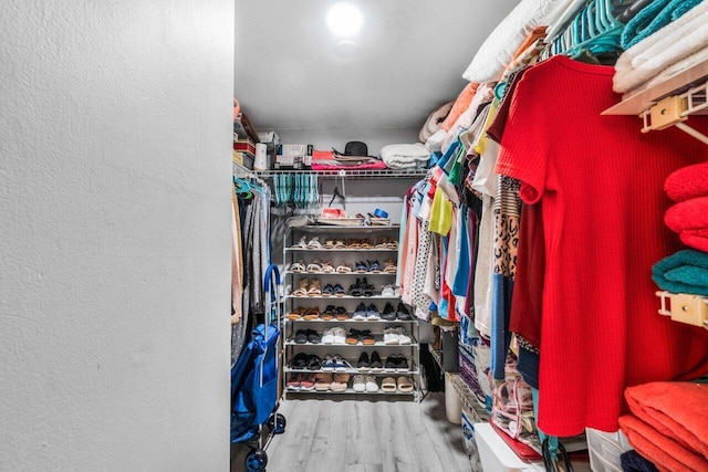 walk in closet with wood-type flooring