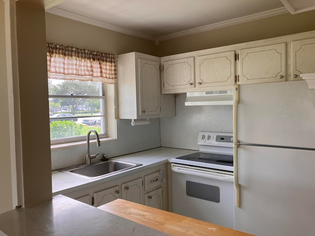 kitchen featuring wooden counters, sink, crown molding, and white appliances