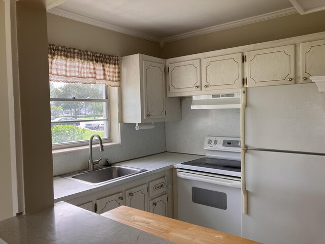 226 Camden J, West Palm Beach, FL 33417 - kitchen featuring white appliances, under cabinet range hood, a sink, light countertops, and crown molding