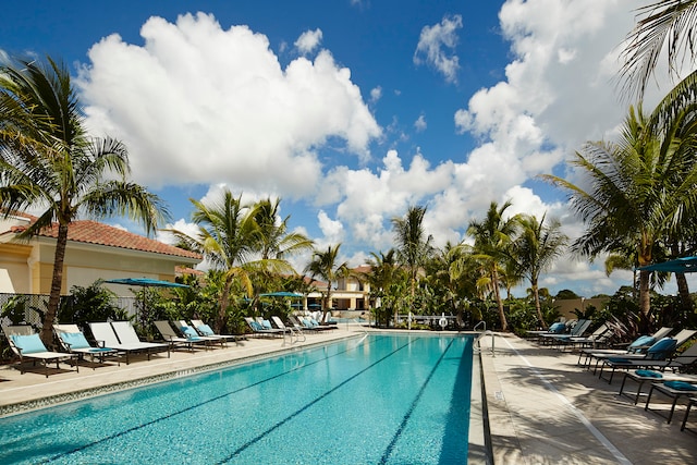 view of swimming pool featuring a patio