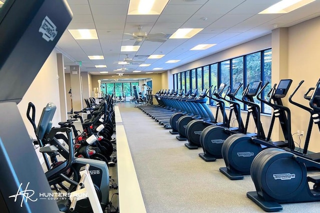 exercise room featuring ceiling fan and a paneled ceiling