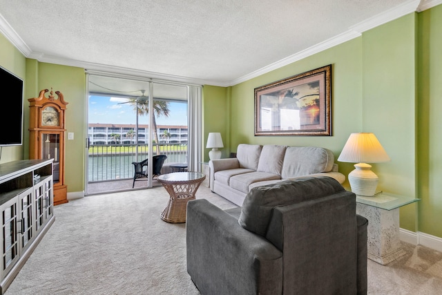 carpeted living room featuring a textured ceiling and ornamental molding