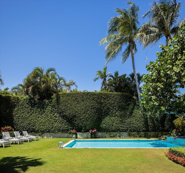 view of swimming pool featuring a lawn