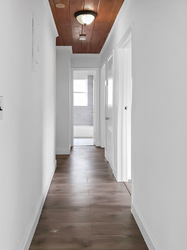 hall with wood ceiling, ornamental molding, and dark hardwood / wood-style floors