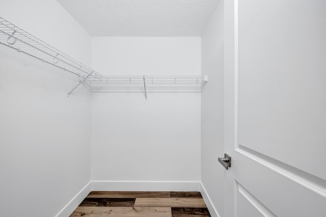 walk in closet with hardwood / wood-style flooring