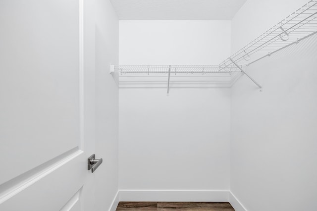 walk in closet featuring hardwood / wood-style floors