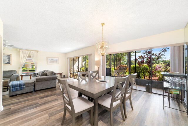 dining area with a notable chandelier, wood-type flooring, and a textured ceiling