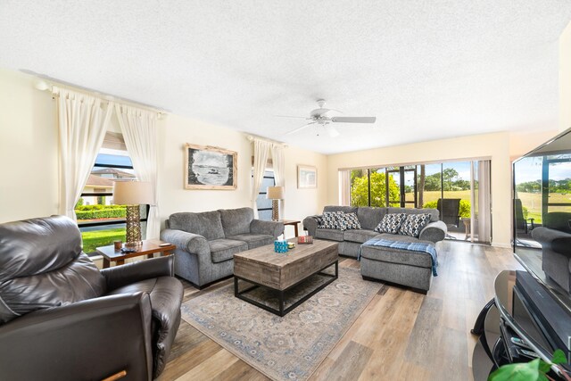 living room with a textured ceiling, wood-type flooring, and ceiling fan